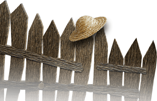 Anonce-Tom-Sawyer-zaun-o